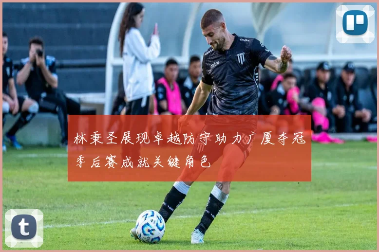 林秉圣展现卓越防守助力广厦夺冠季后赛成就关键角色
